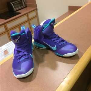 LeBron 9 summit lake hornets